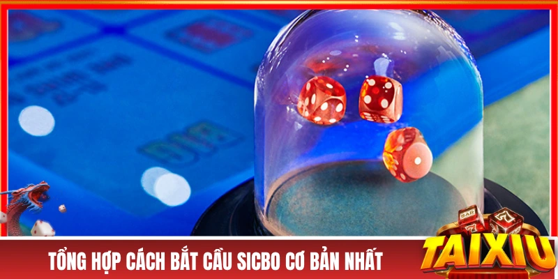 Cách Bắt Cầu Sicbo Dễ Lụm Lúa Cho Người Chơi Phổ Thông Tổng hợp cách bắt cầu Sicbo cơ bản nhất